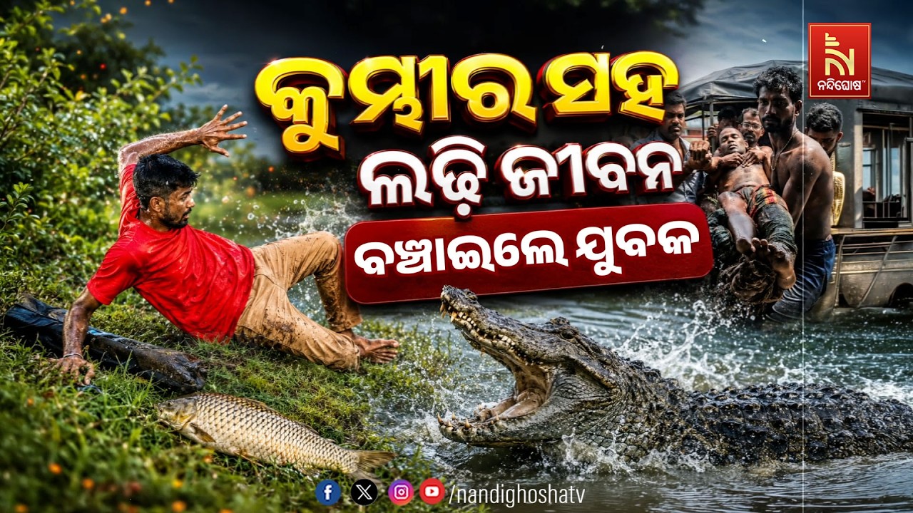 🔴Live | କୁମ୍ଭୀର ସହ ଲଢି ଜୀବନ ବଞ୍ଚାଇଲେ ଯୁବକ | NandighoshaTV