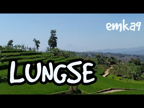 #lungse lungse by emka9