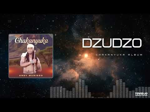 Andy Muridzo - Dzudzo
