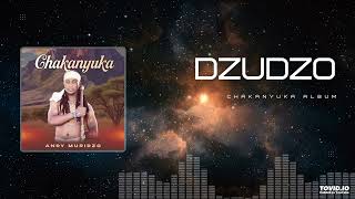 Download lagu Andy Muridzo - Dzudzo mp3