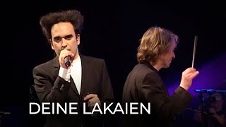 Deine Lakaien - Brainfic (20 Years of Electronic Avantgarde)