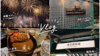 【Vlog】東京競馬場へ！浜田省吾の音楽と花火に包まれた夜。