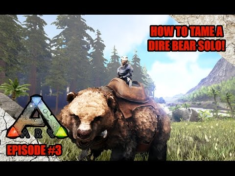 HOW TO TAME A DIRE BEAR SOLO - ARK Survival Evolved (XB1) - Ep3
