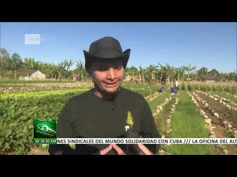 Jóvenes de Brigadas Centenario apoyan producción de alimentos en Cabaiguán