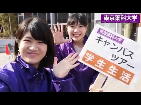 生命医科学科 Webキャンパスツアー　キャンパスライフ編｜東京薬科大学