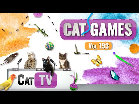 CAT Games | Ultimate Cat TV Compilation Vol 193 | 8 HOURS  🐝🐞🦋🦎🦜🐜🐭🧵