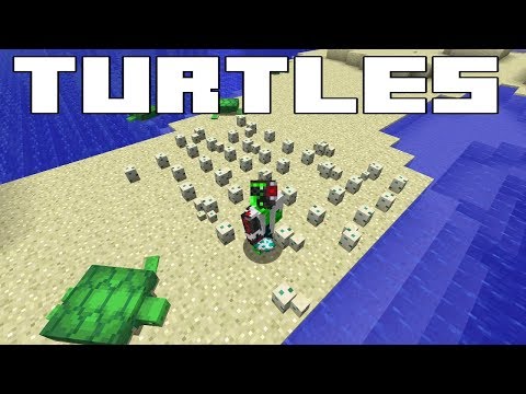 docm77 - Minecraft Turtles - Everything you need to know! Breeding & Potion Brewing