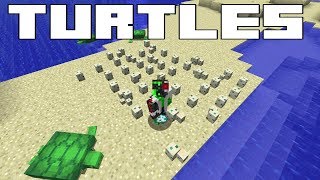 Minecraft Turtles - Everything you need to know! Breeding & Potion Brewing