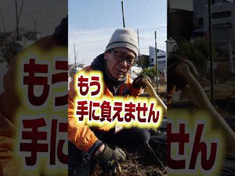 手による除草は簡単です 2022
