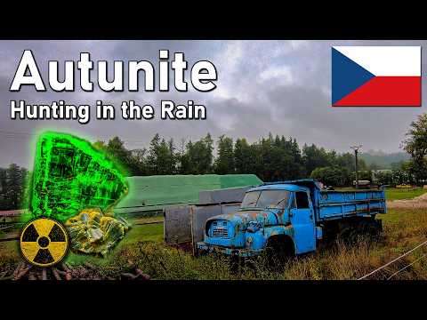 Finding Glowing Autunite Crystals in the Rain #radiation
