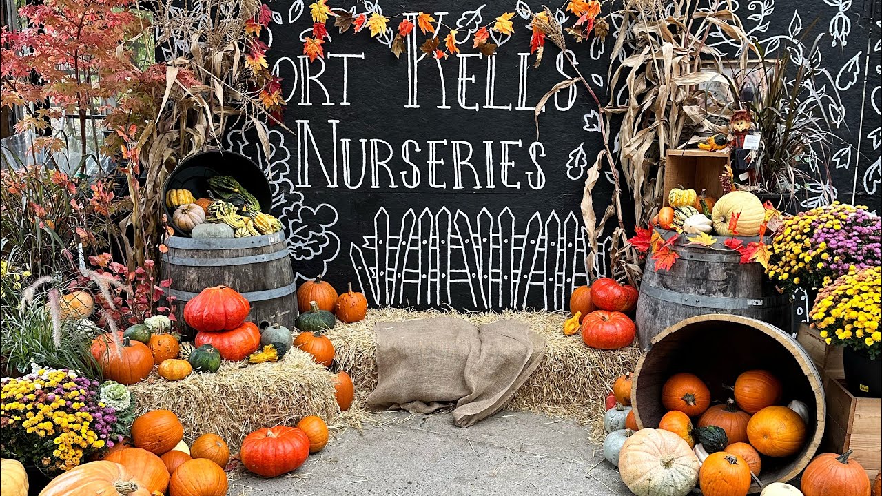 Port Kells Pumpkin Patch - Surrey BC