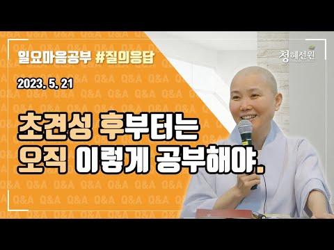 2023.05.21 [청혜선원] 일요공부ㅣ질의응답 시간 "초견성 후부터는 오직 이렇게 공부해야."