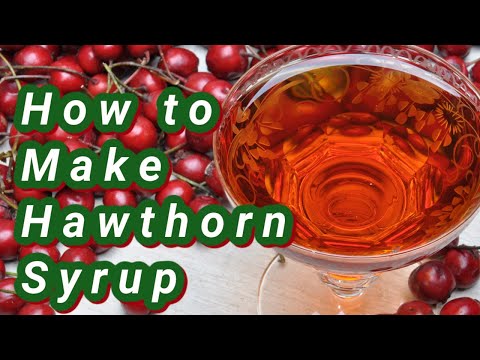 Hawthorn Syrup