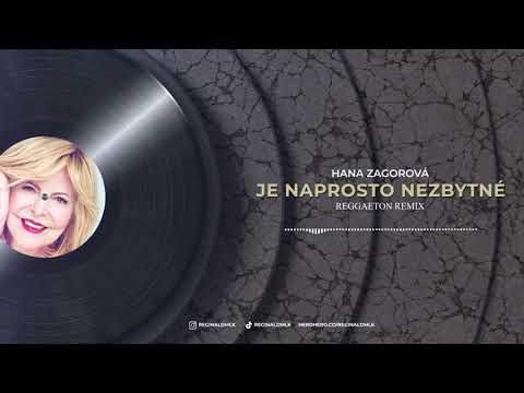 Hana Zagorová - Je naprosto nezbytné (reggaeton remix)