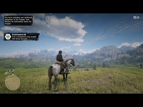 Arthur's weird glitches for Sharpshooter 6 in Red Dead Redemption 2