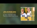 Tico-Tico no Fubá - Gilson Peranzzetta e Mauro Senise