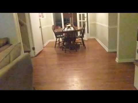 Liquid Nitrogen poured on the floor