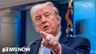 Dem lawmaker calls for Trump's removal using the 25th Amendment  