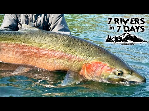 Fishing 7 Rivers In 7 Days - STEELHEAD EDITION - 7 Day Challenge Official Movie Season 2