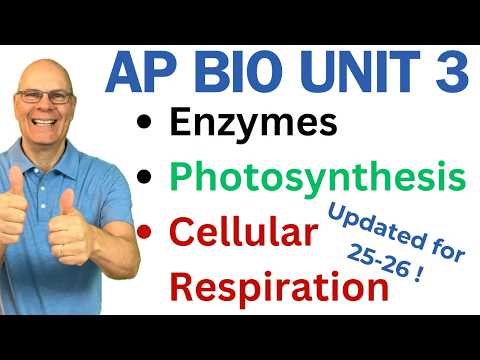 Crush AP Bio Unit 3! Enzymes, Photosynthesis and Respiration