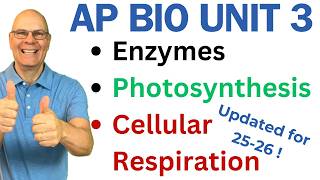Crush AP Bio Unit 3! Enzymes, Photosynthesis and Respiration