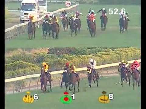 HRC Races 20th November 2017 Race 08