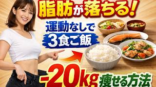 【脂肪が落ちる】運動なしで3食ご飯を食べて−20kg痩せる方法 | 高齢者の健康