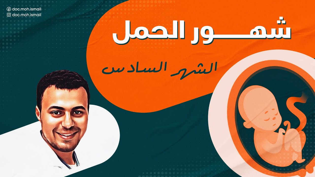 الشهر السادس في الحمل - Month 6 Pregnancy