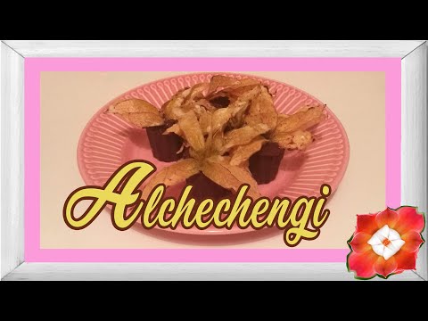 Cioccolatini con Alchechengi