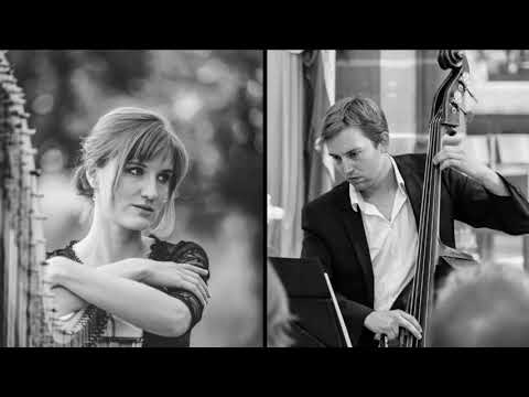 Elvis Presley - Can't help falling in Love [Double Bass & Harp]