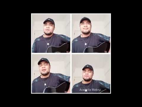 Himi 848, Siasi o Tonga Houeiki