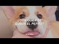 Jesse & Joy - ¿Con quién se queda el perro? (Letra)