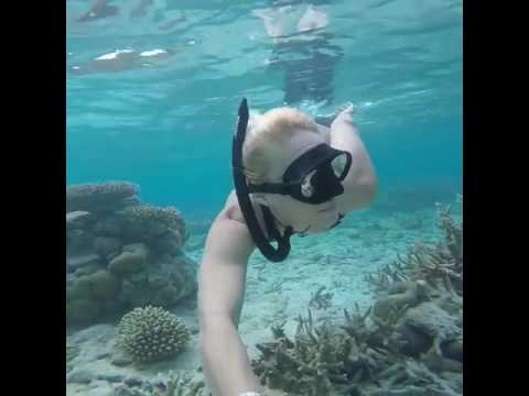 Women underwater freediving & snorkeling