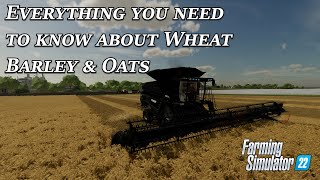 Everything you need to know about Wheat, Barley and Oats in Farming Simulator 22