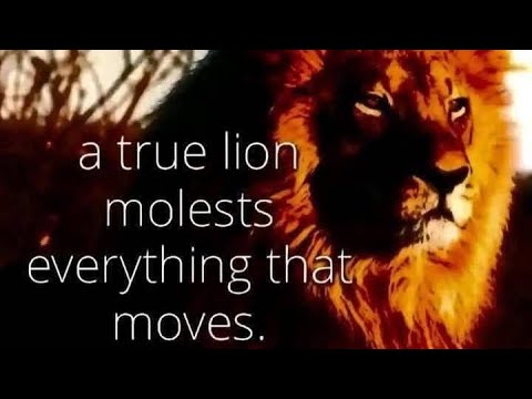 Honour pilled (The Qin Xa Guide)