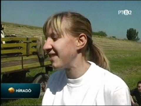 Hirado 2011 05 22 szemet szedes