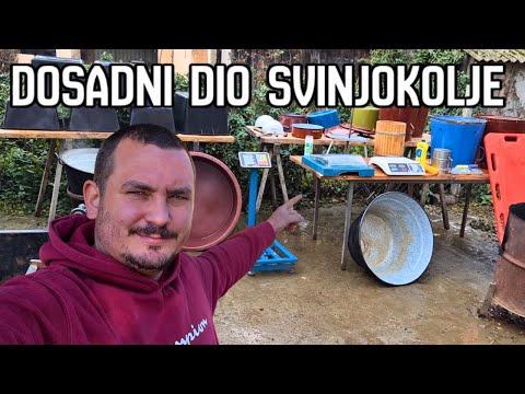 NAJGORI POSAO VEZAN ZA SVINJOKOLJU | PUNA PUŠNICA