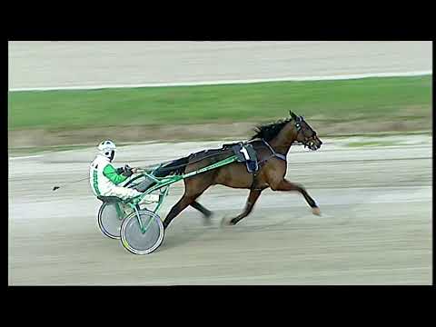 Napoli Trotto 12/12/2021 - 1ª prova di qualifica