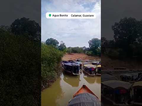 Descargando en Agua Bonita - Calamar Guaviare 🇨🇴🇨🇴 Trocheros Trucks 🔥 #trucks #offroad