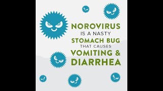 Norovirus is a nasty stomach bug