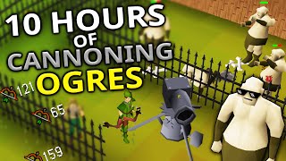 Cannoning Ogres For 10 Hours - Meet My 50 Attack Low HP Pure!