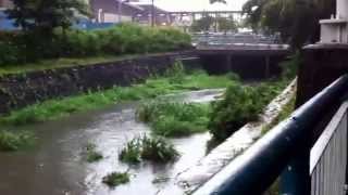 preview picture of video 'Festival Mall Alabang Waterfalls'