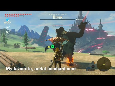 Hunting all 40 Hinoxes in Zelda BOTW