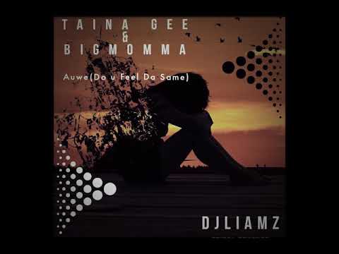 Dj Liamz x Taina Gee & Big Momma_(Do U Feel Da Same)