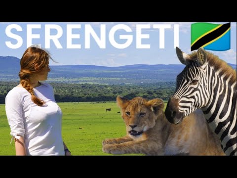 SERENGETI SAFARI TIPS - How to have an incredible safari in the Serengeti! - safari travel guide