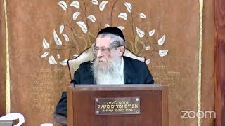 הרה"ג הרב וועכטר שליט"א כ"ב אייר תשפ"ד - מאמר הרבי הרש"ב ד"ה מושכני אחריך נרוצה חלק זס (הרב אברהם מנחם מענדל וכטר) - התמונה מוצגת ישירות מתוך אתר האינטרנט יוטיוב. זכויות היוצרים בתמונה שייכות ליוצרה. קישור קרדיט למקור התוכן נמצא בתוך דף הסרטון