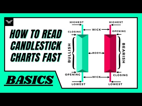 How To Read Candlestick Charts FAST (Beginner's Guide)