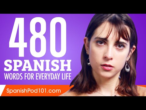 480 Spanish Words for Everyday Life - Basic Vocabulary #24