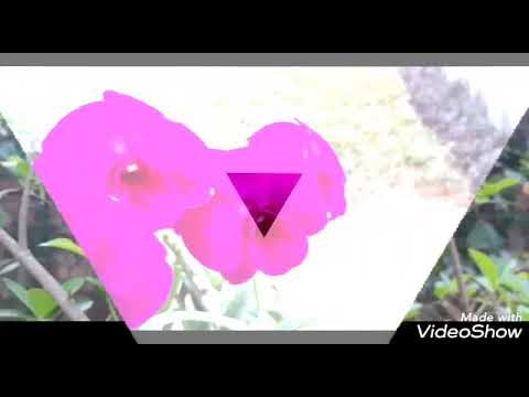 Beauty of the nature