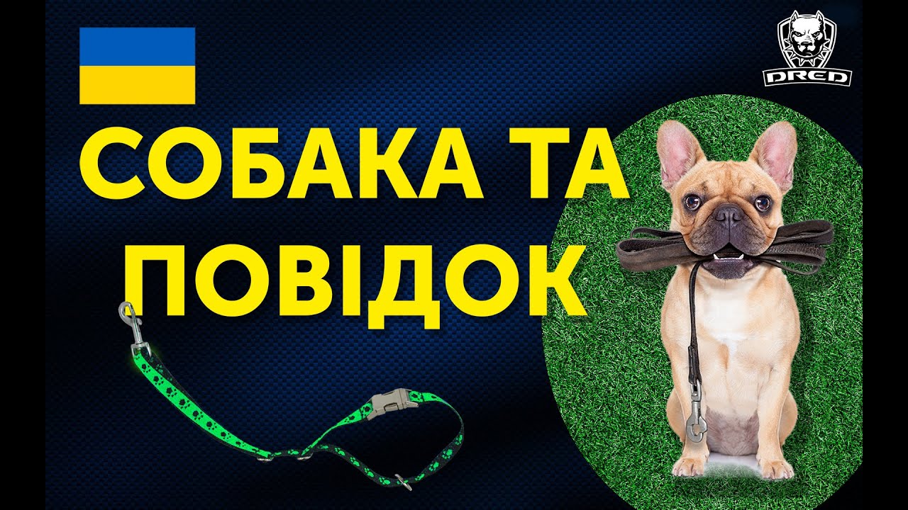 YouTube video preview